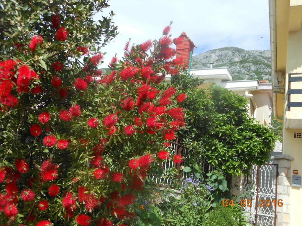 Lorena Rooms Risan Dış mekan fotoğraf